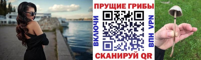 закладка  Бугуруслан  Галлюциногенные грибы прущие грибы 